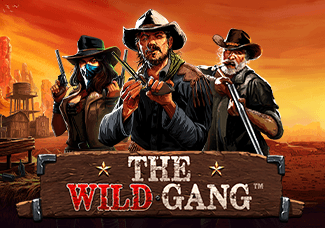 The Wild Gang game icon